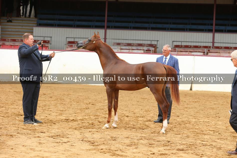 Proof 19R2_00459