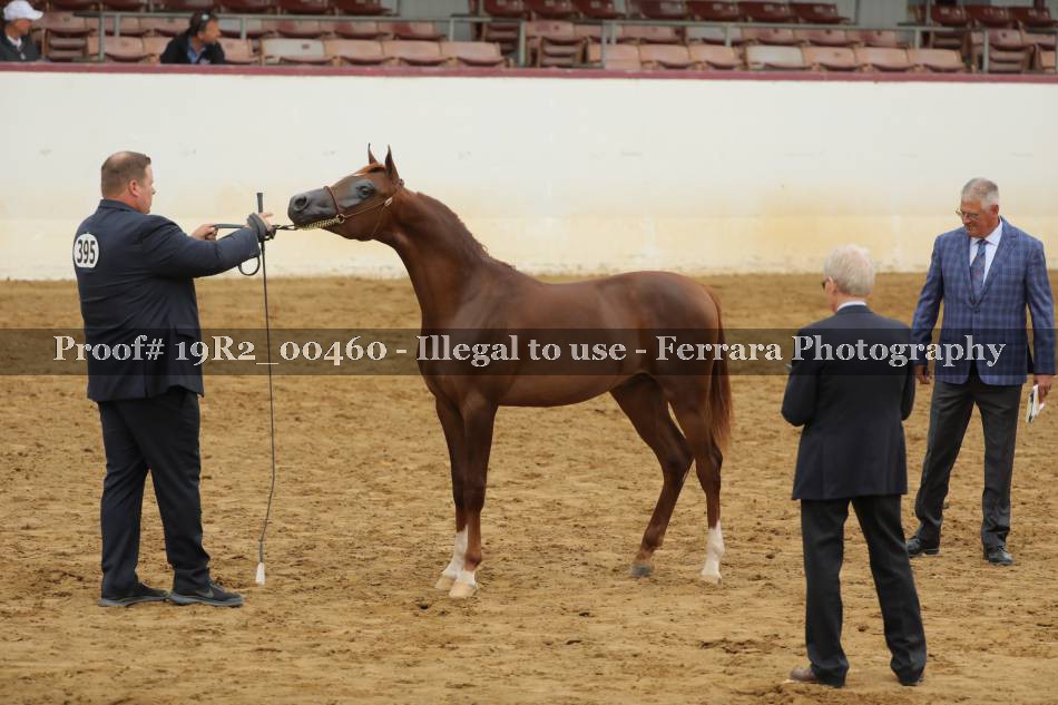 Proof 19R2_00460