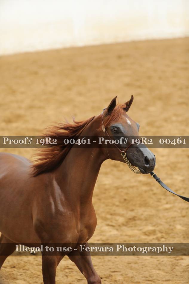 Proof 19R2_00461