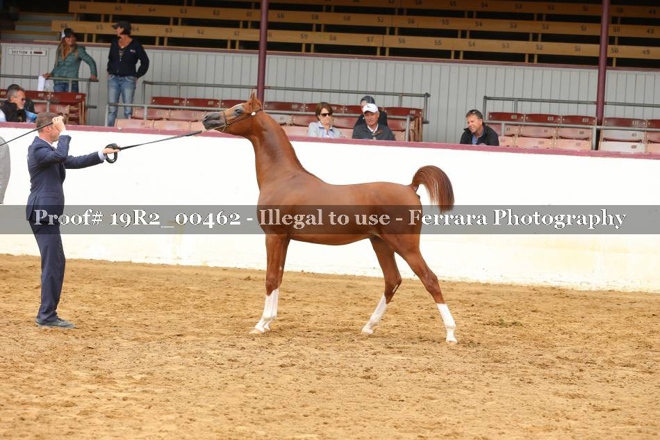 Proof 19R2_00462