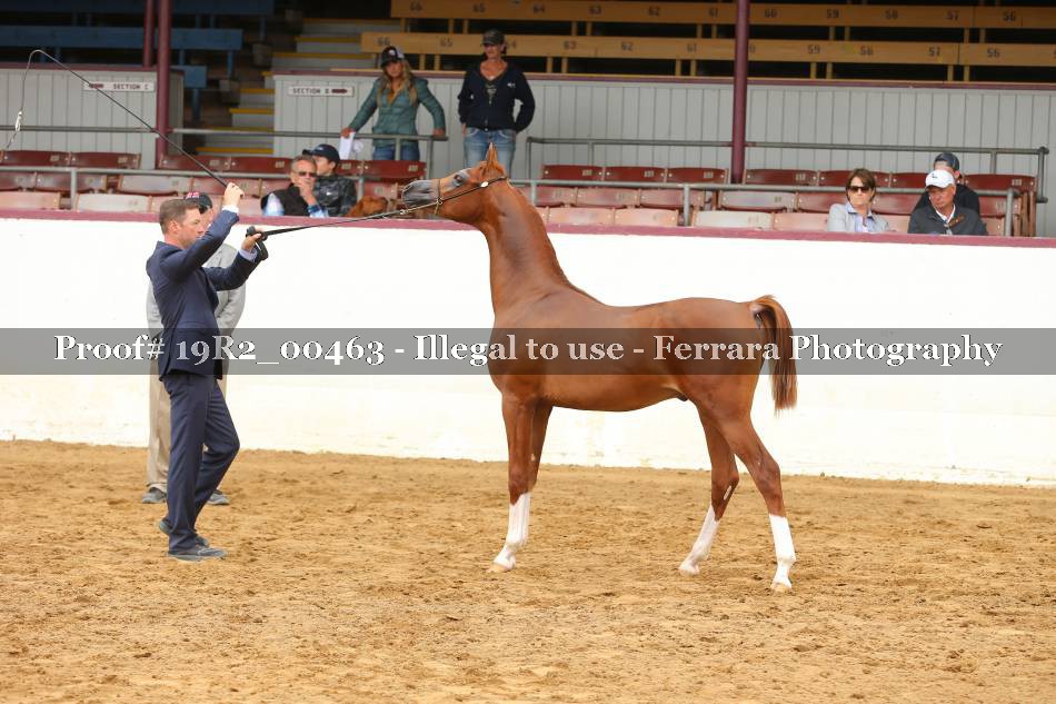 Proof 19R2_00463