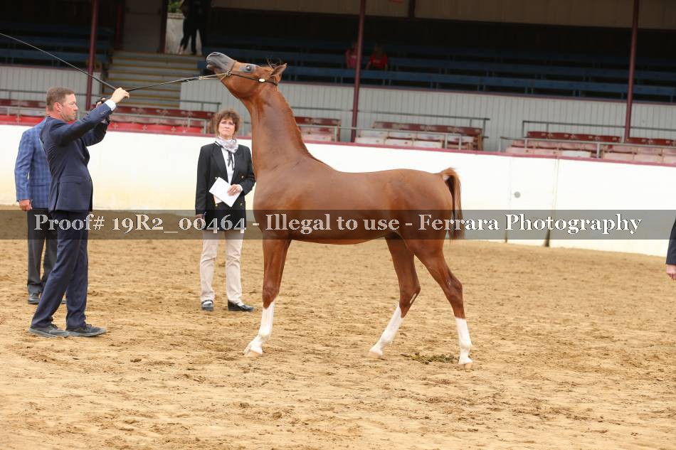 Proof 19R2_00464