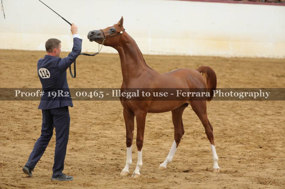 Proof 19R2_00465