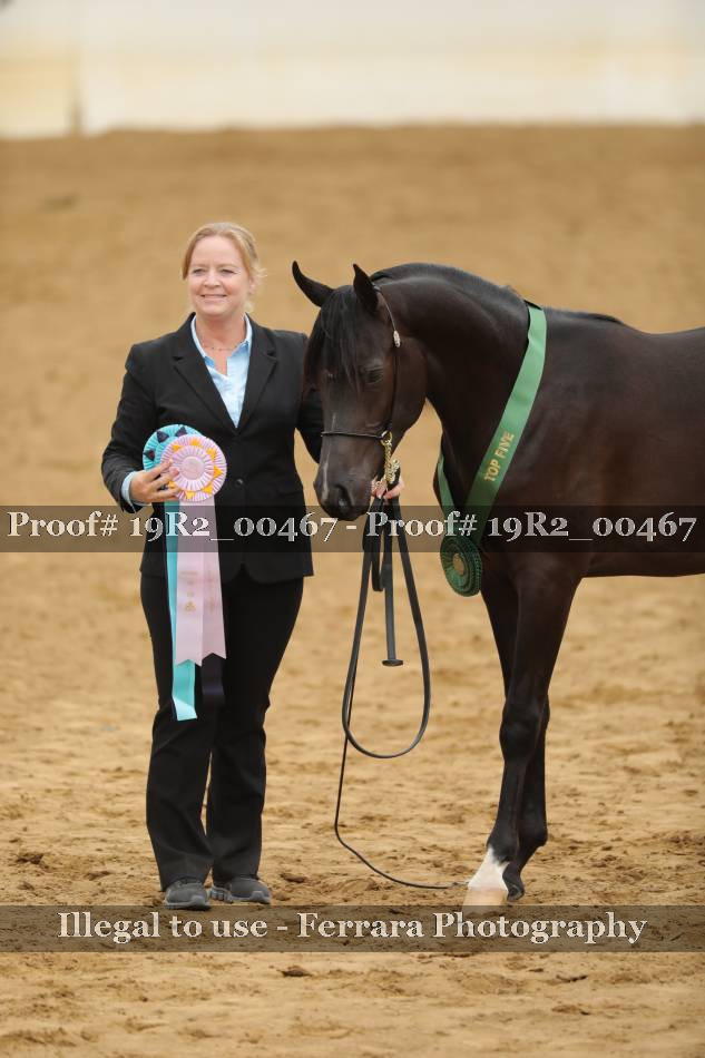 Proof 19R2_00467