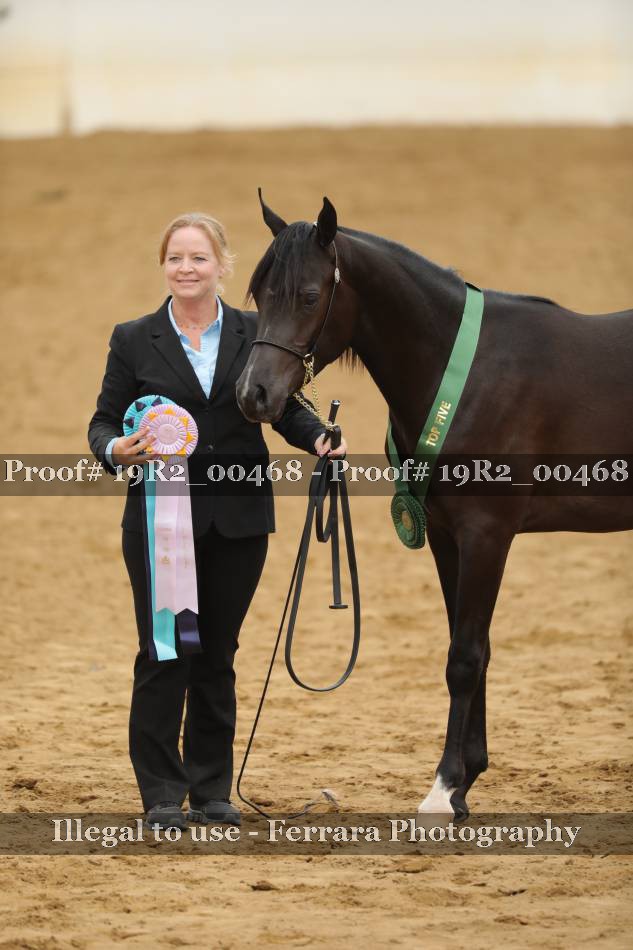 Proof 19R2_00468