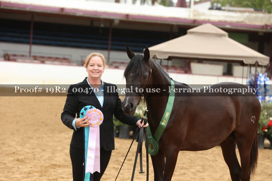 Proof 19R2_00470