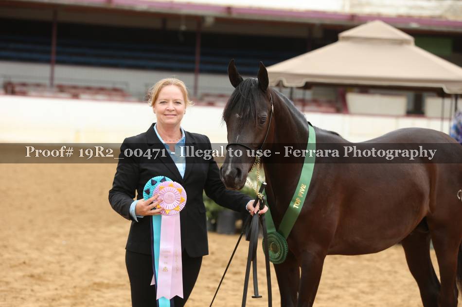 Proof 19R2_00471