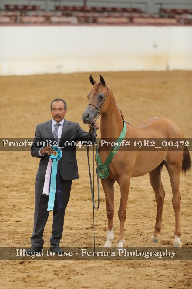 Proof 19R2_00472