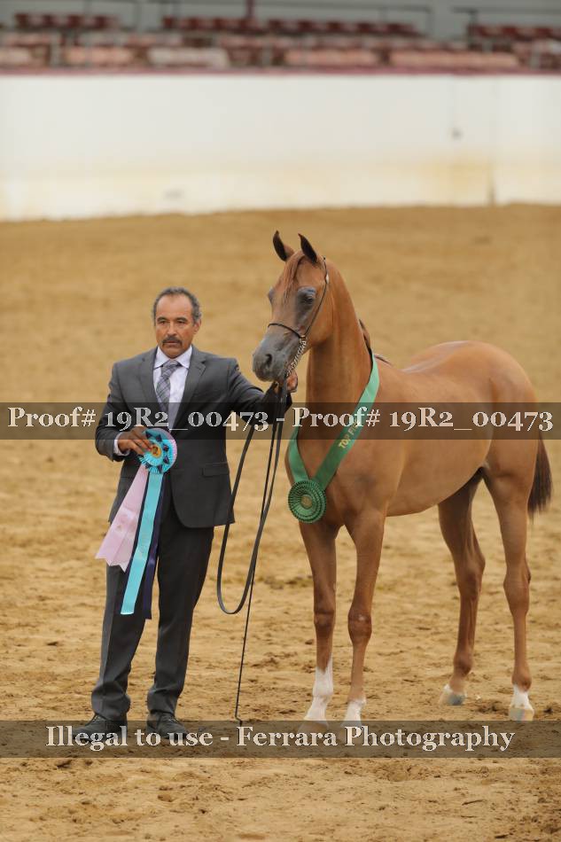 Proof 19R2_00473