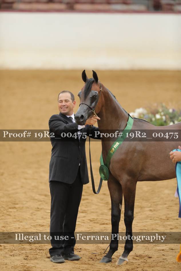 Proof 19R2_00475