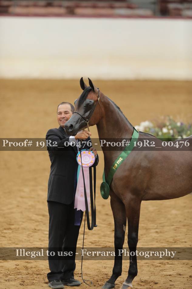 Proof 19R2_00476