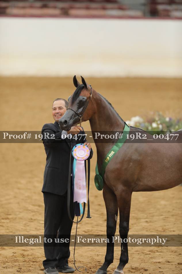 Proof 19R2_00477