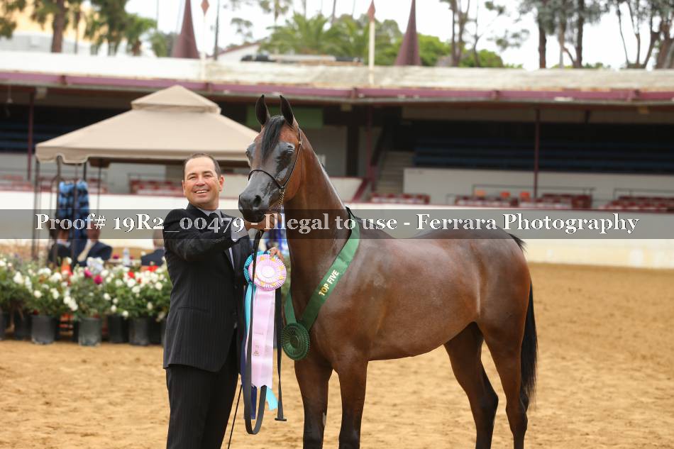 Proof 19R2_00479