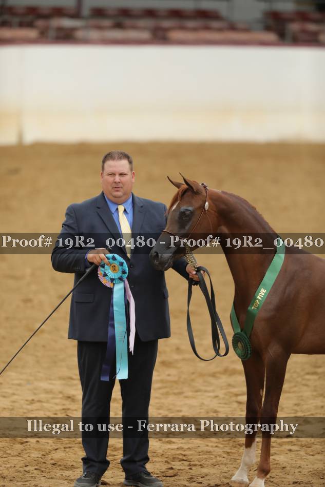 Proof 19R2_00480