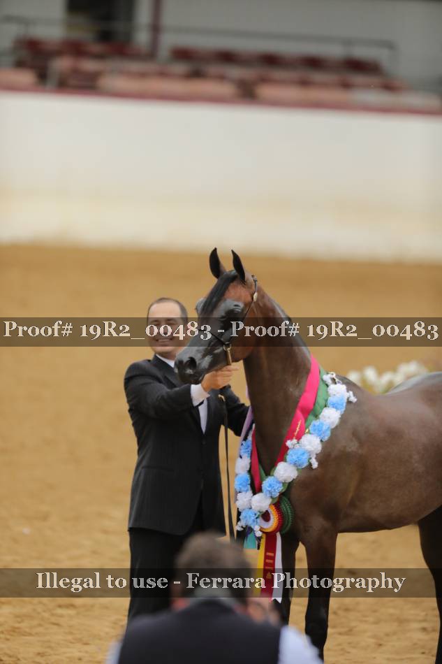 Proof 19R2_00483