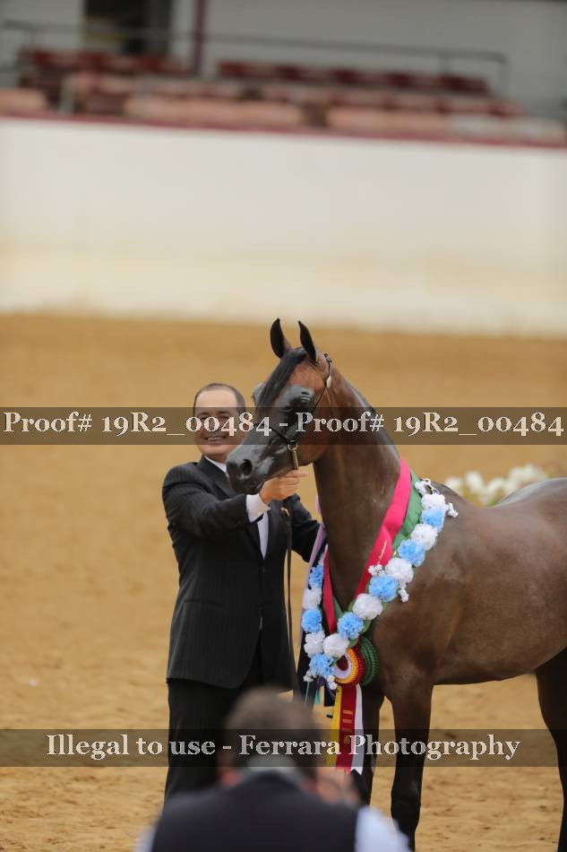 Proof 19R2_00484