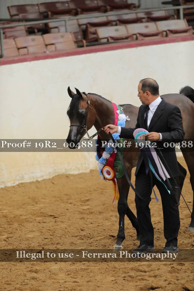 Proof 19R2_00488