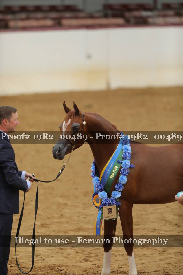 Proof 19R2_00489