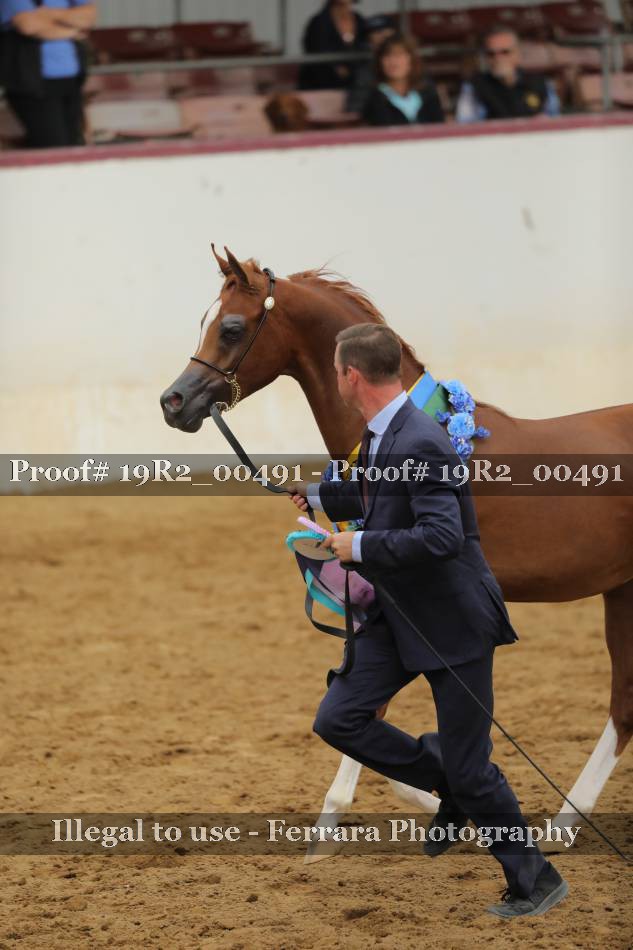 Proof 19R2_00491