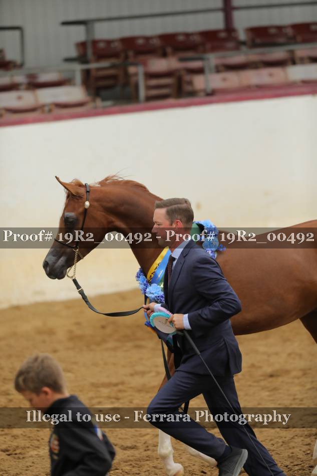 Proof 19R2_00492