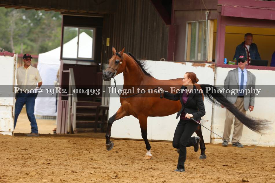 Proof 19R2_00493