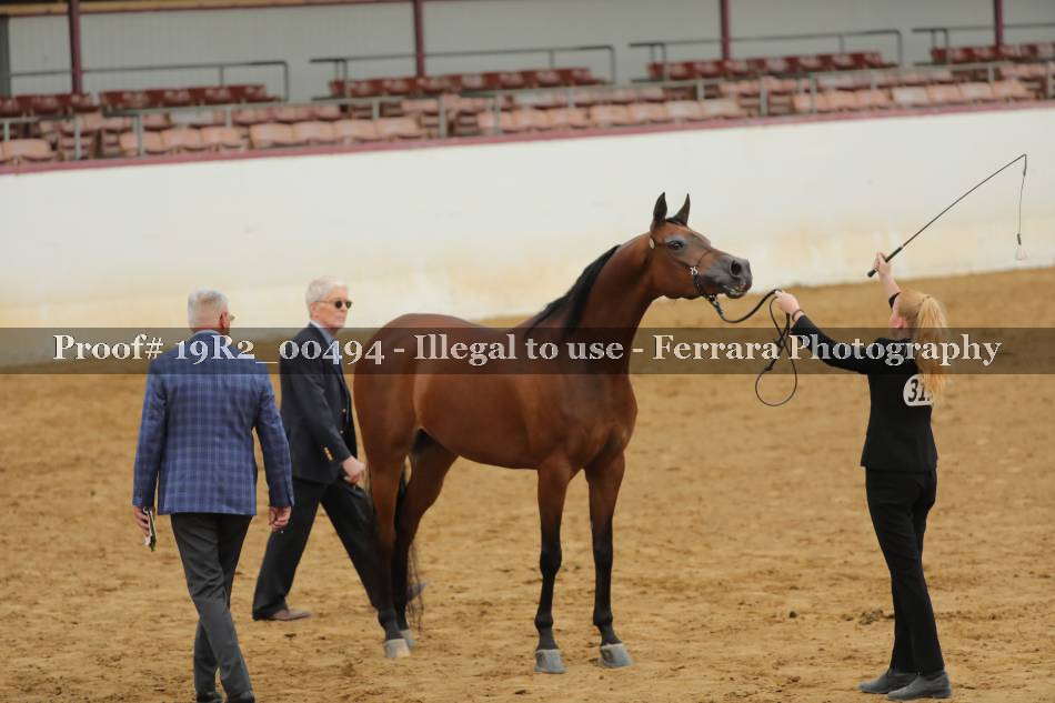 Proof 19R2_00494