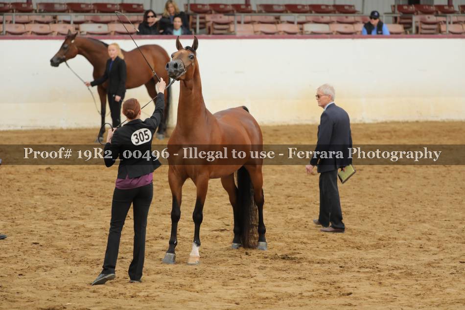 Proof 19R2_00496