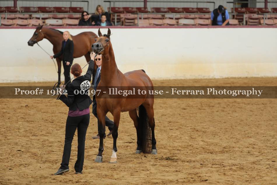 Proof 19R2_00497
