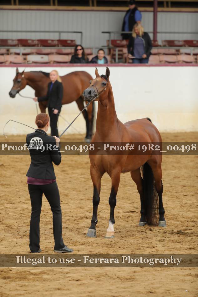 Proof 19R2_00498