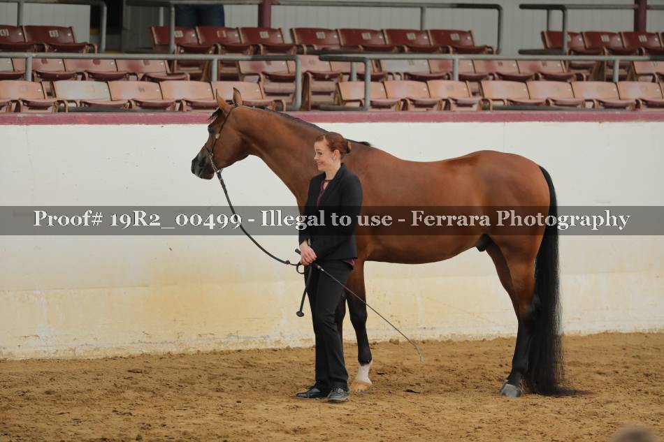 Proof 19R2_00499