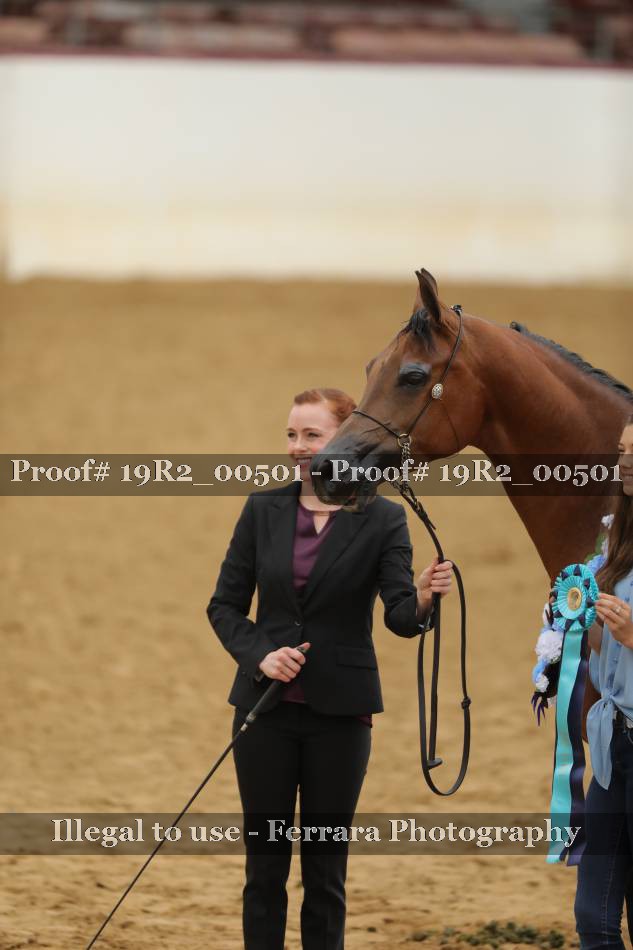 Proof 19R2_00501