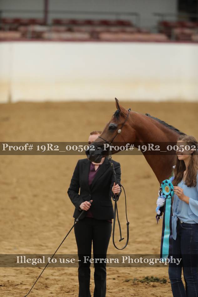 Proof 19R2_00502