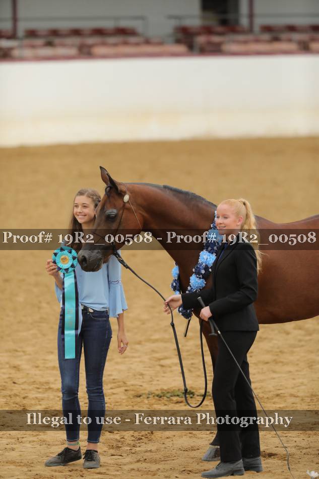 Proof 19R2_00508
