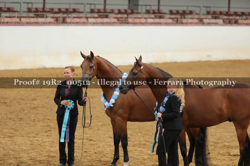 Proof 19R2_00512
