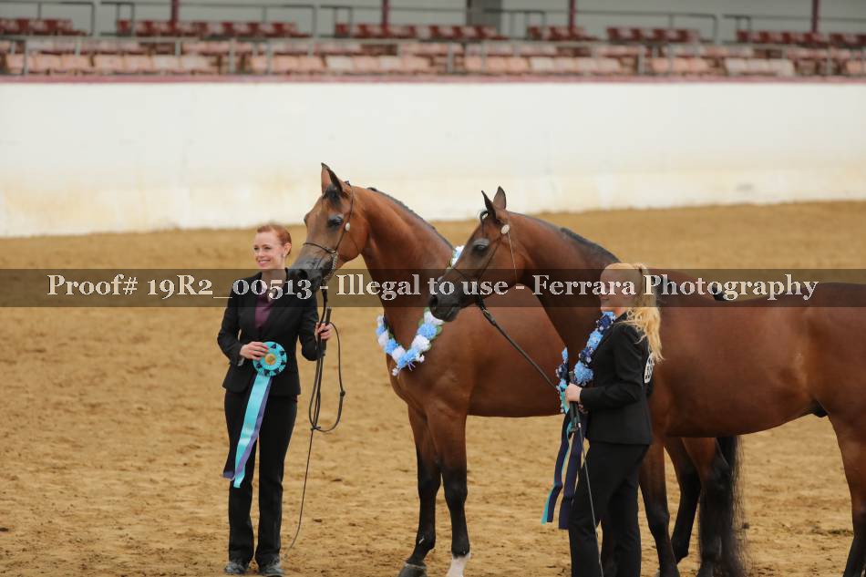 Proof 19R2_00513