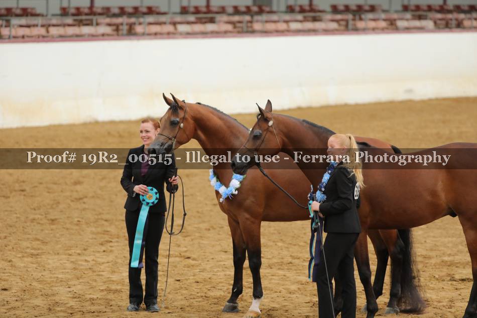 Proof 19R2_00515