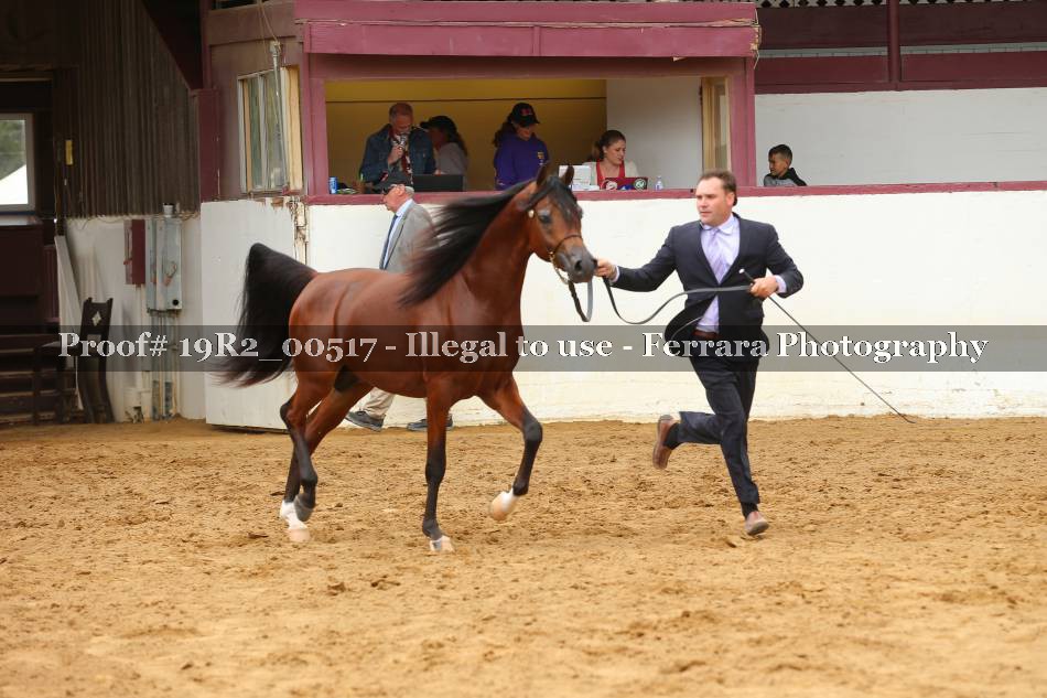 Proof 19R2_00517