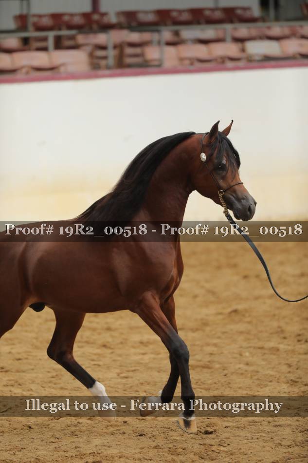 Proof 19R2_00518