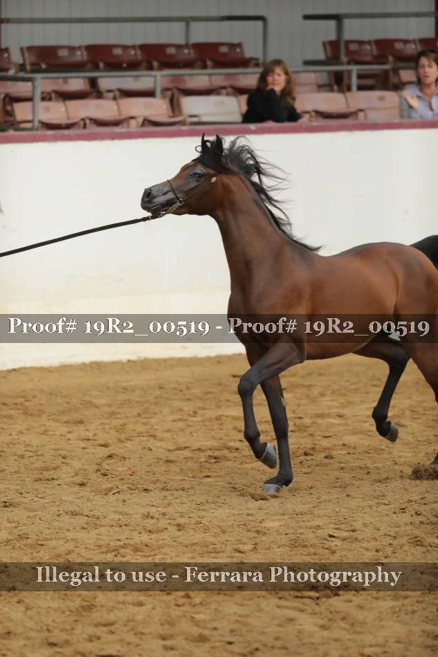 Proof 19R2_00519