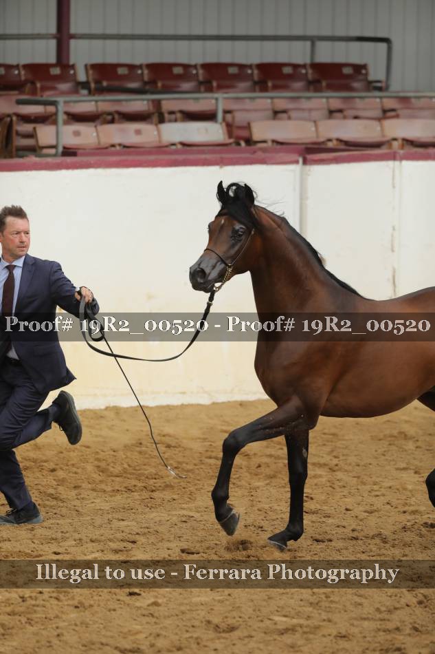 Proof 19R2_00520