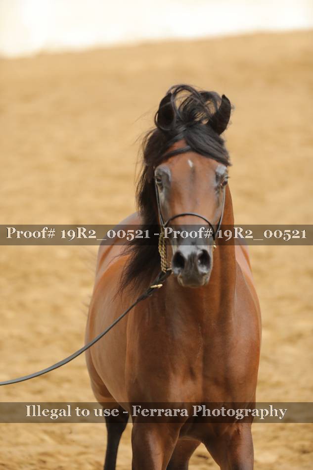 Proof 19R2_00521