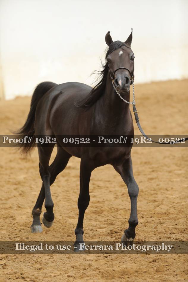 Proof 19R2_00522