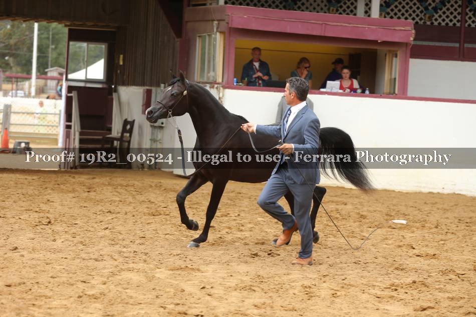 Proof 19R2_00524