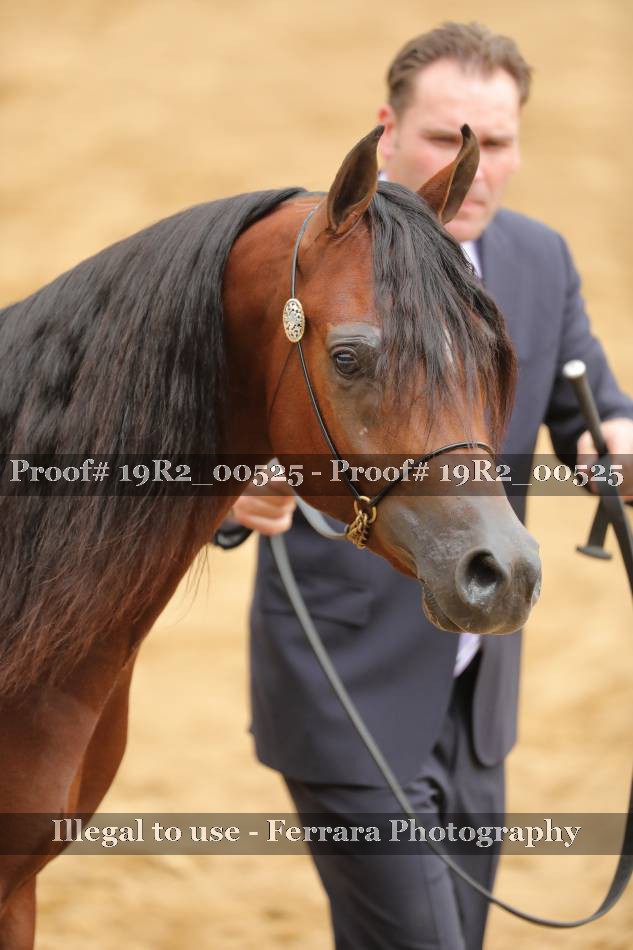 Proof 19R2_00525