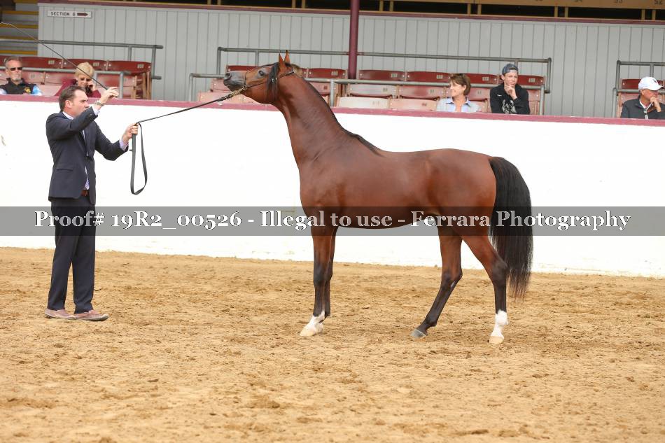 Proof 19R2_00526