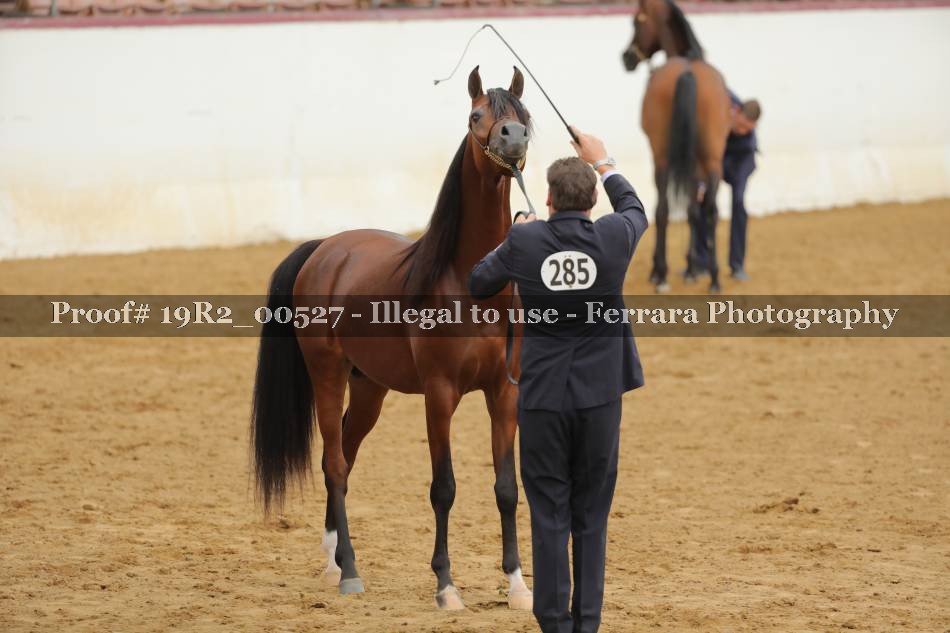 Proof 19R2_00527