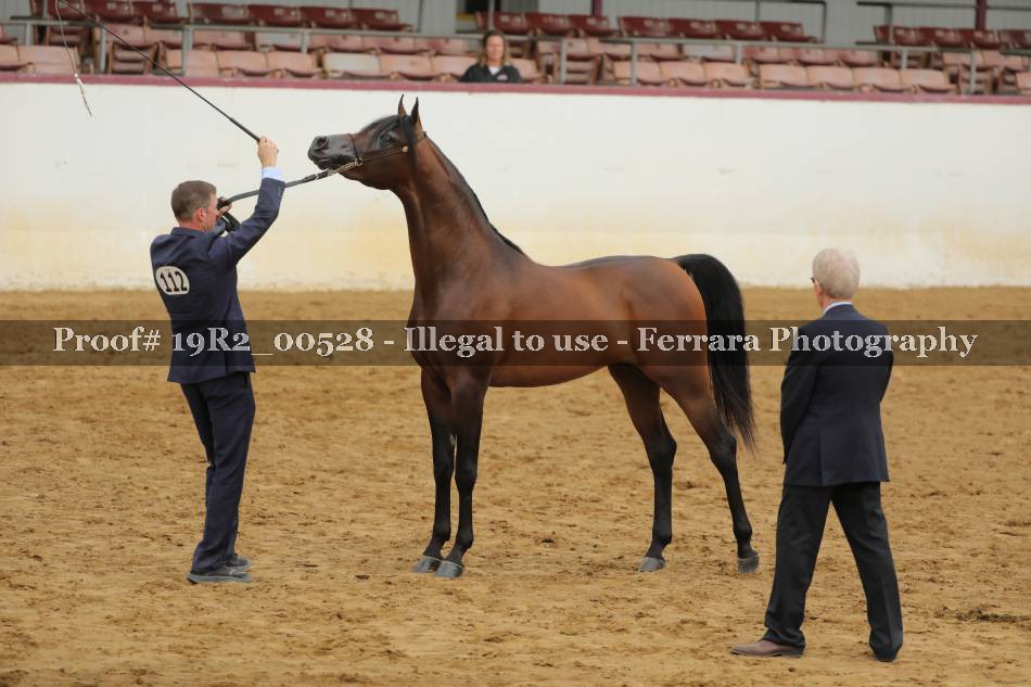 Proof 19R2_00528