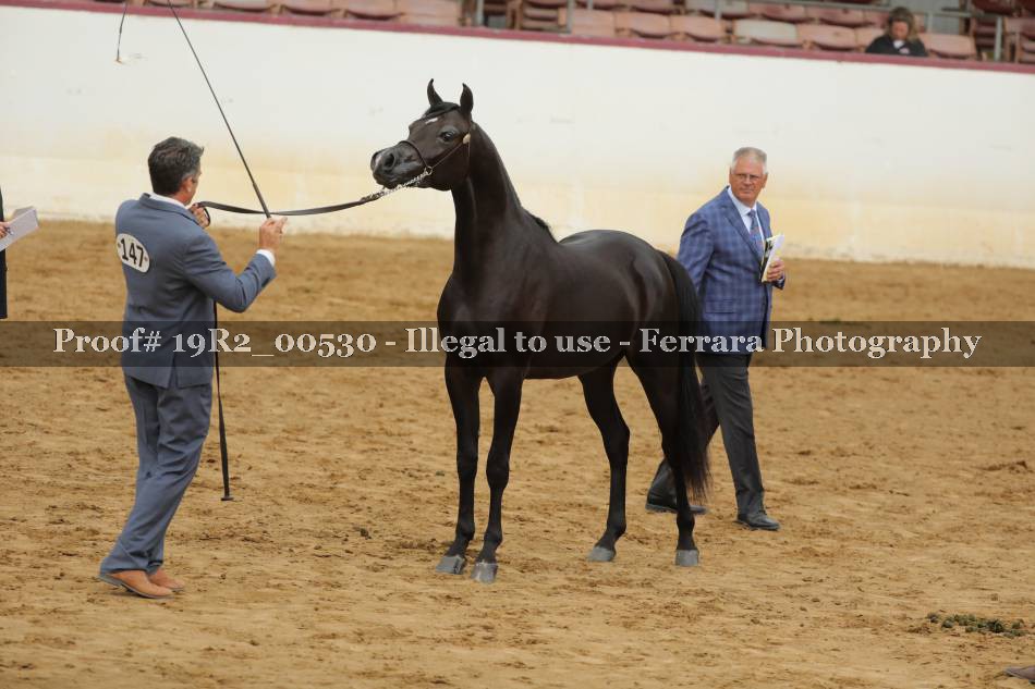Proof 19R2_00530