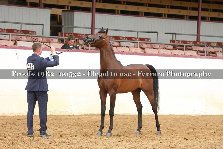 Proof 19R2_00532