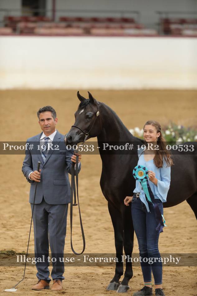 Proof 19R2_00533